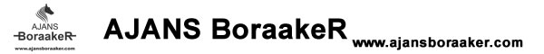 Ajans BoraakeR Logo